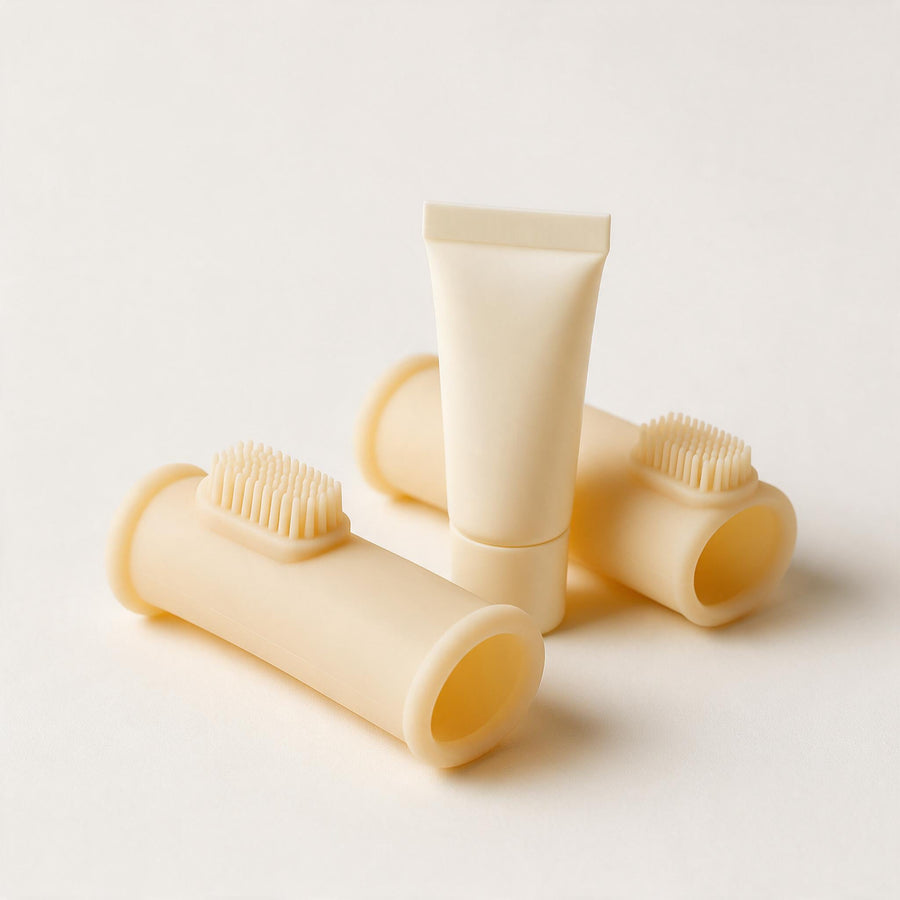 Daily & Dental Care