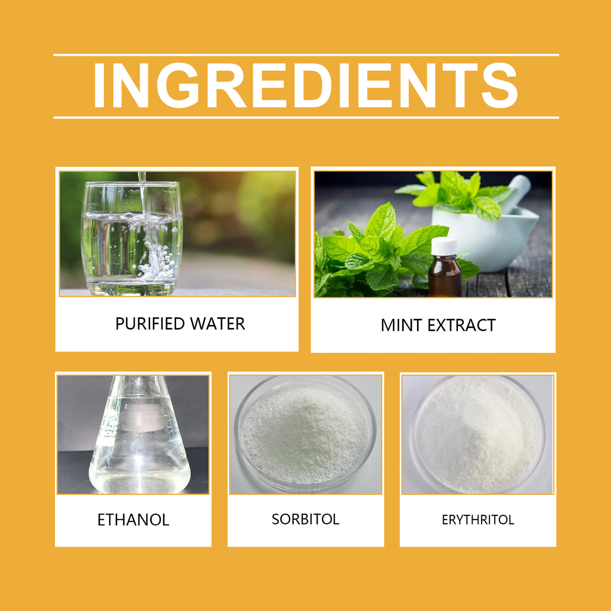 Gouttes Allergie & Immunité pour chiens — Complément liquide à la menthe, 60ml
