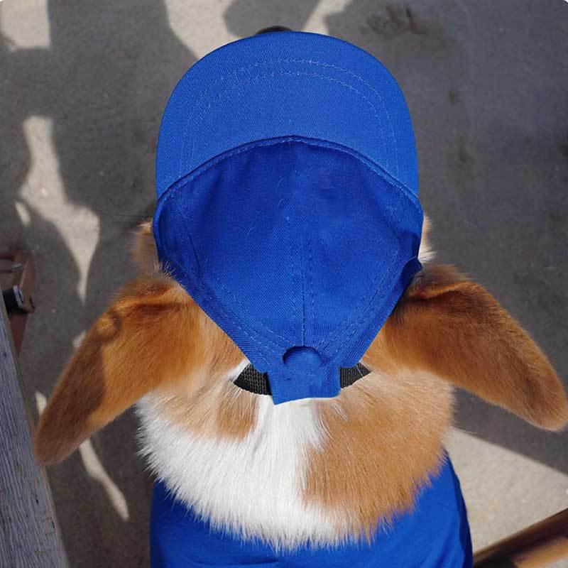 Dog Sun Cap with Ear Holes — Adjustable Cotton Baseball Cap for Shade on Walks
