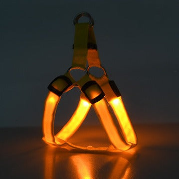 NightSafe LED Light-Up Dog Harness — High-Visibility Chest Harness for Evening Walks