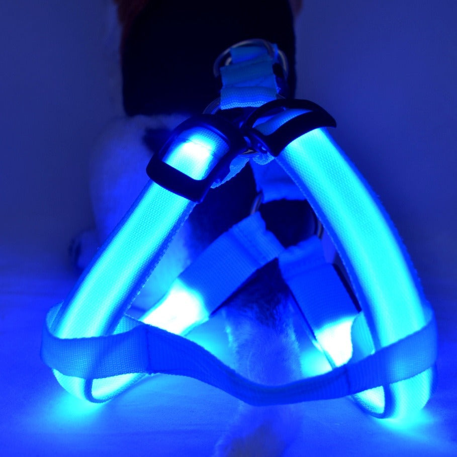 NightSafe LED Light-Up Dog Harness — High-Visibility Chest Harness for Evening Walks