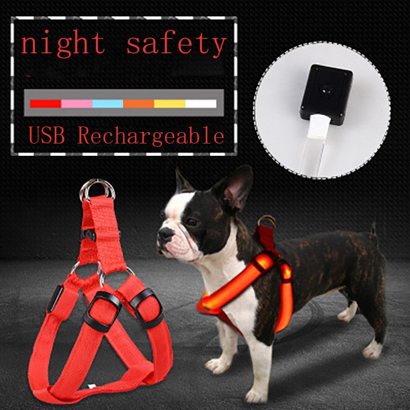 NightSafe LED Light-Up Dog Harness — High-Visibility Chest Harness for Evening Walks