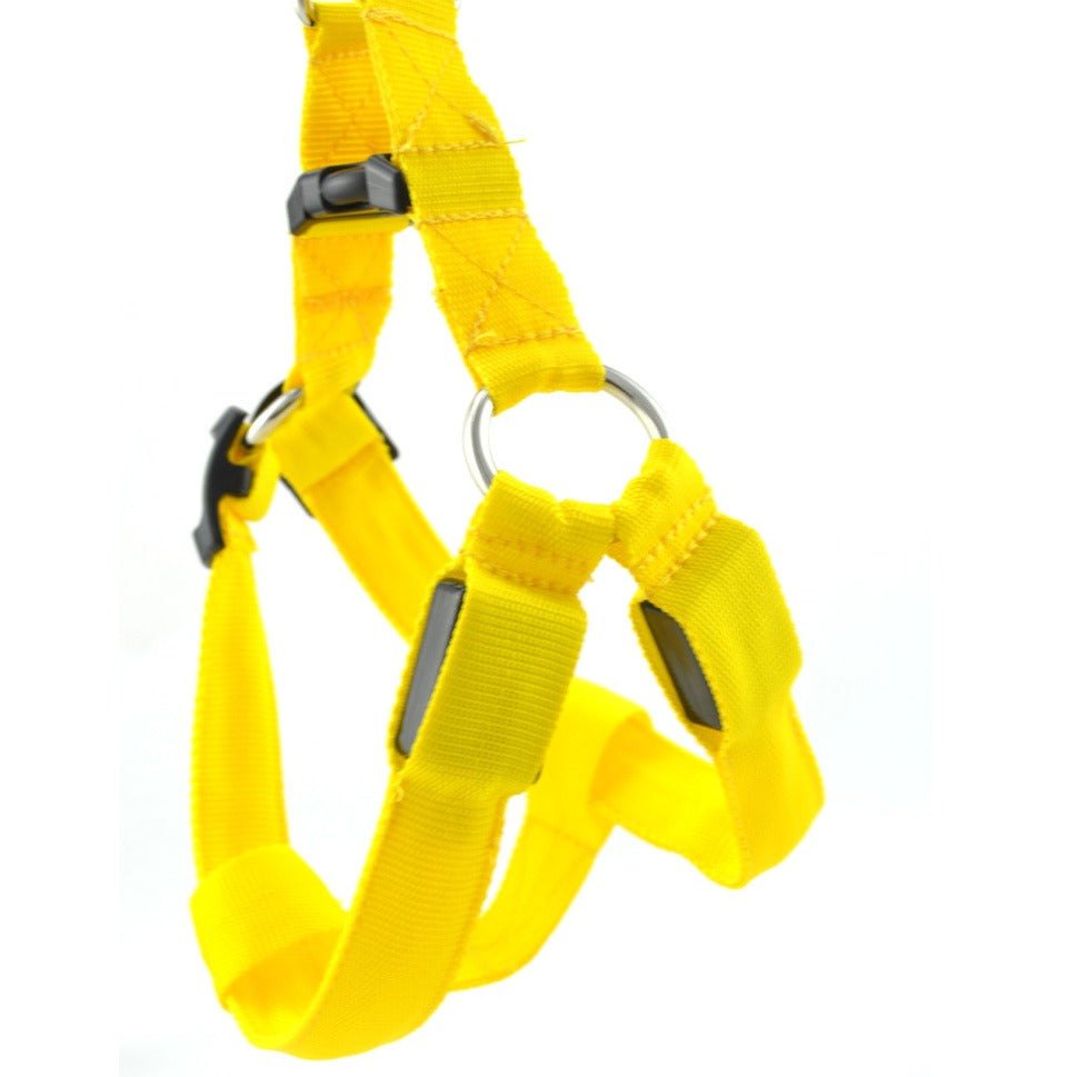 NightSafe LED Light-Up Dog Harness — High-Visibility Chest Harness for Evening Walks
