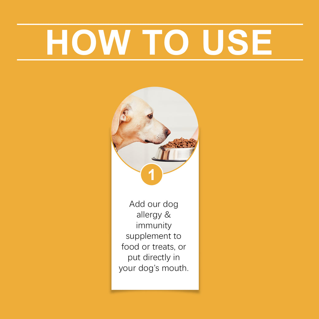 Gouttes Allergie & Immunité pour chiens — Complément liquide à la menthe, 60ml