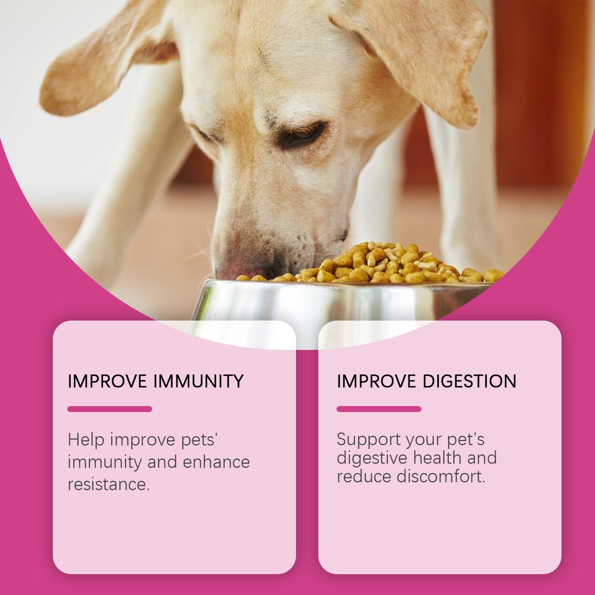 Digestive Care Tablets for Dogs — Probiotic Support for Sensitive Stomachs, 80 Tablets
