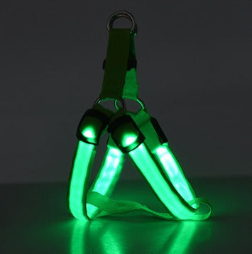 NightSafe LED Light-Up Dog Harness — High-Visibility Chest Harness for Evening Walks