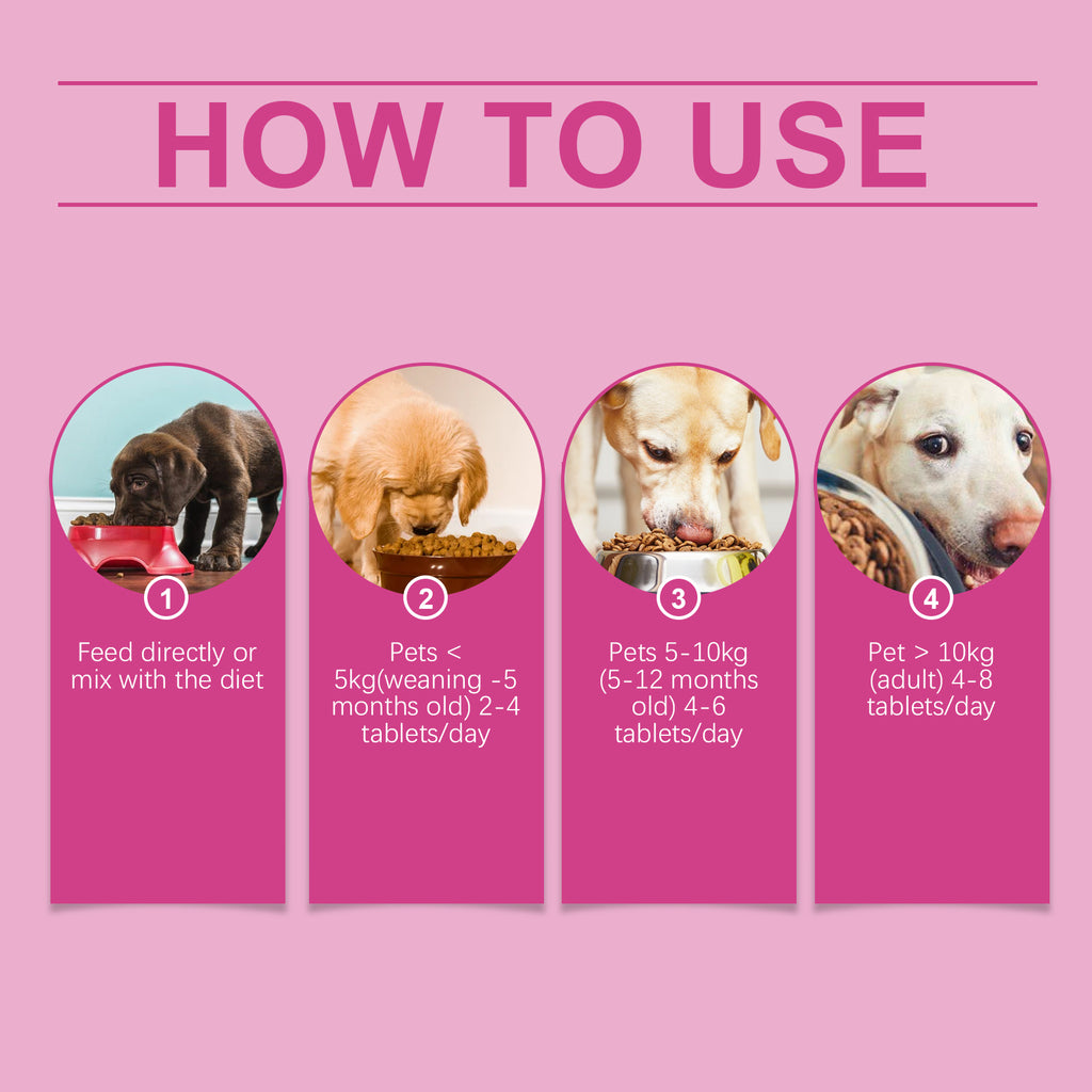 Digestive Care Tablets for Dogs — Probiotic Support for Sensitive Stomachs, 80 Tablets