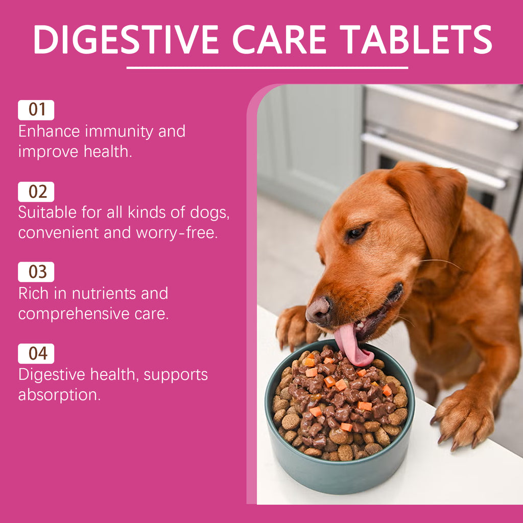 Digestive Care Tablets for Dogs — Probiotic Support for Sensitive Stomachs, 80 Tablets