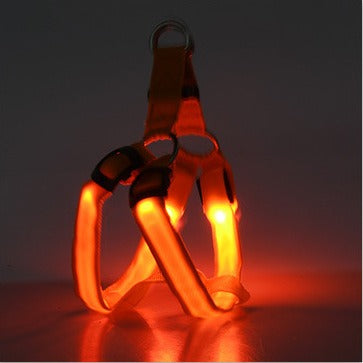 NightSafe LED Light-Up Dog Harness — High-Visibility Chest Harness for Evening Walks