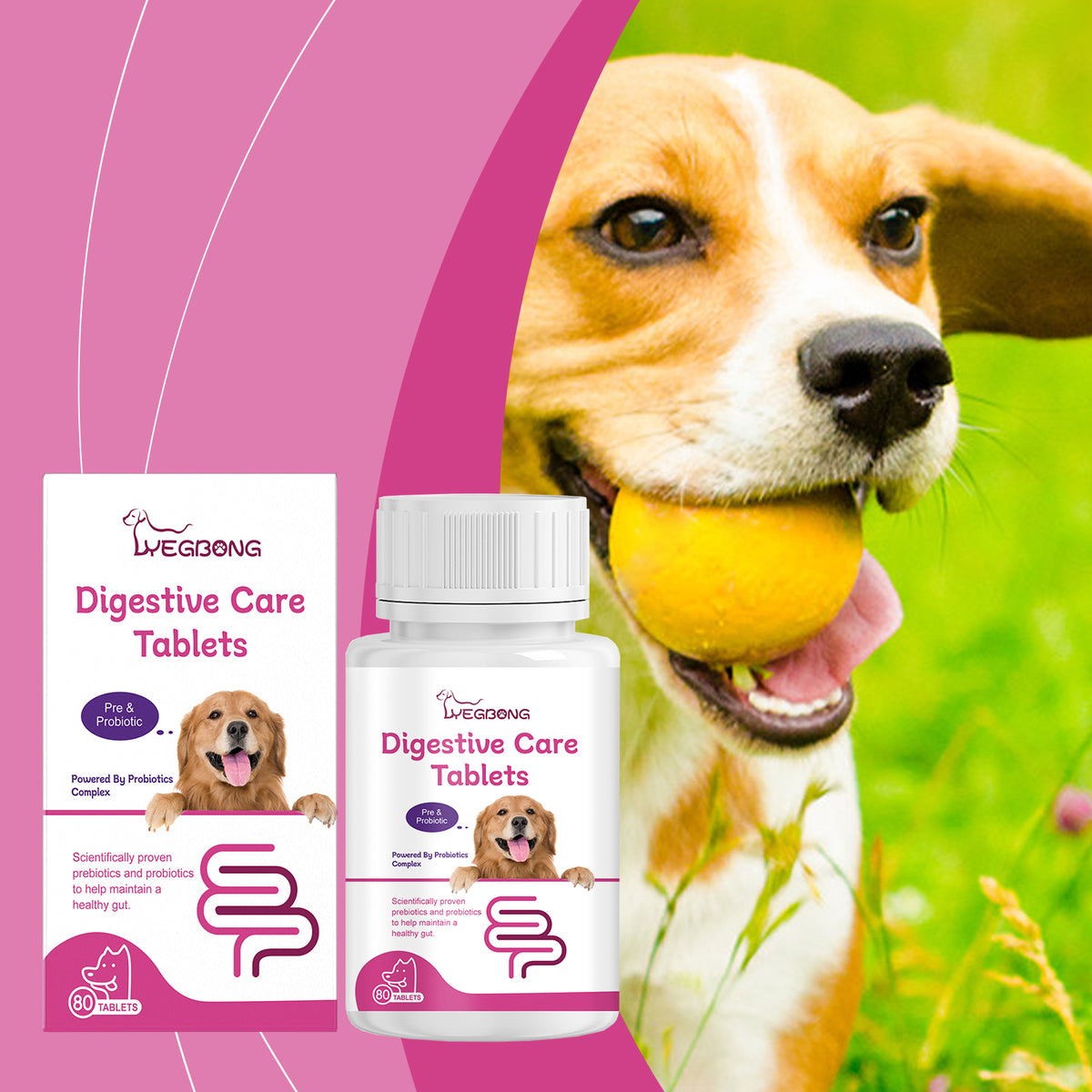 Digestive Care Tablets for Dogs — Probiotic Support for Sensitive Stomachs, 80 Tablets