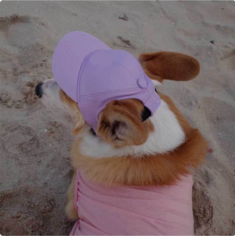 Dog Sun Cap with Ear Holes — Adjustable Cotton Baseball Cap for Shade on Walks