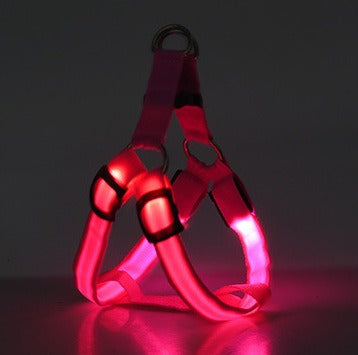 NightSafe LED Light-Up Dog Harness — High-Visibility Chest Harness for Evening Walks