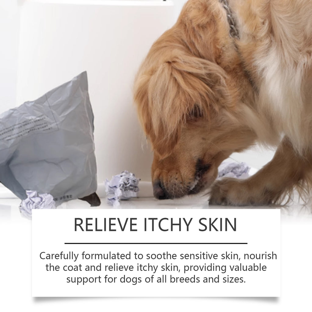 Gouttes Allergie & Immunité pour chiens — Complément liquide à la menthe, 60ml
