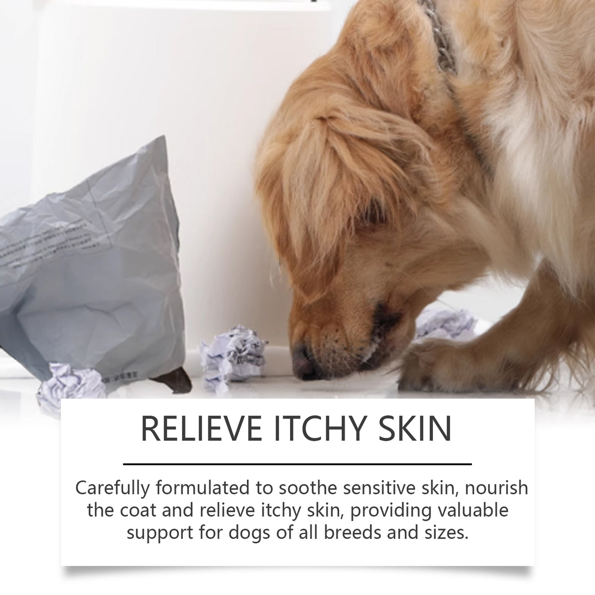 Gouttes Allergie & Immunité pour chiens — Complément liquide à la menthe, 60ml