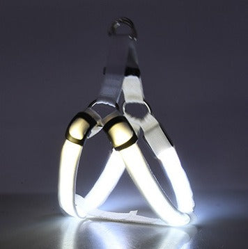 NightSafe LED Light-Up Dog Harness — High-Visibility Chest Harness for Evening Walks