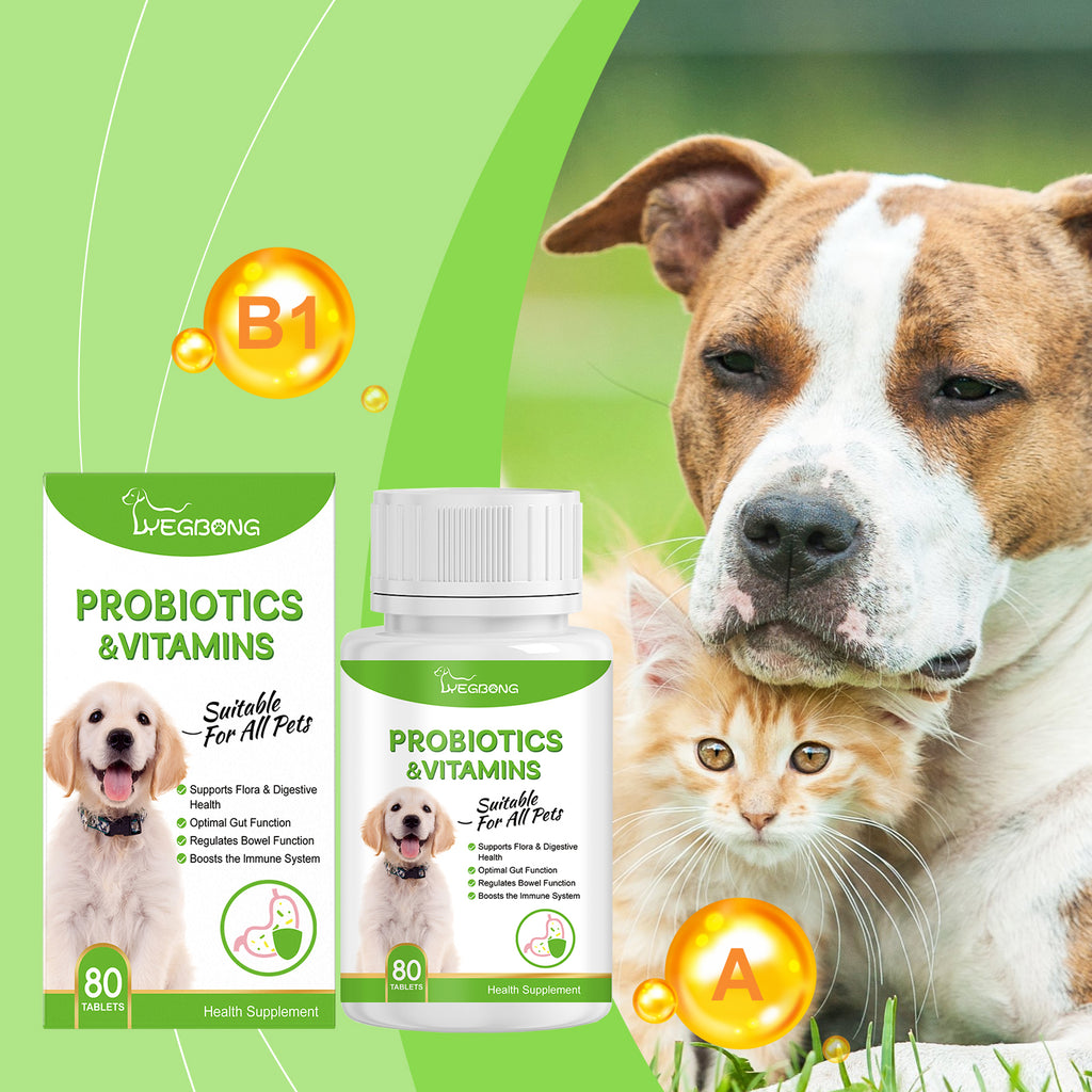 Comprimés de probiotiques et vitamines pour chiens — Soutien digestif quotidien, 80 comprimés