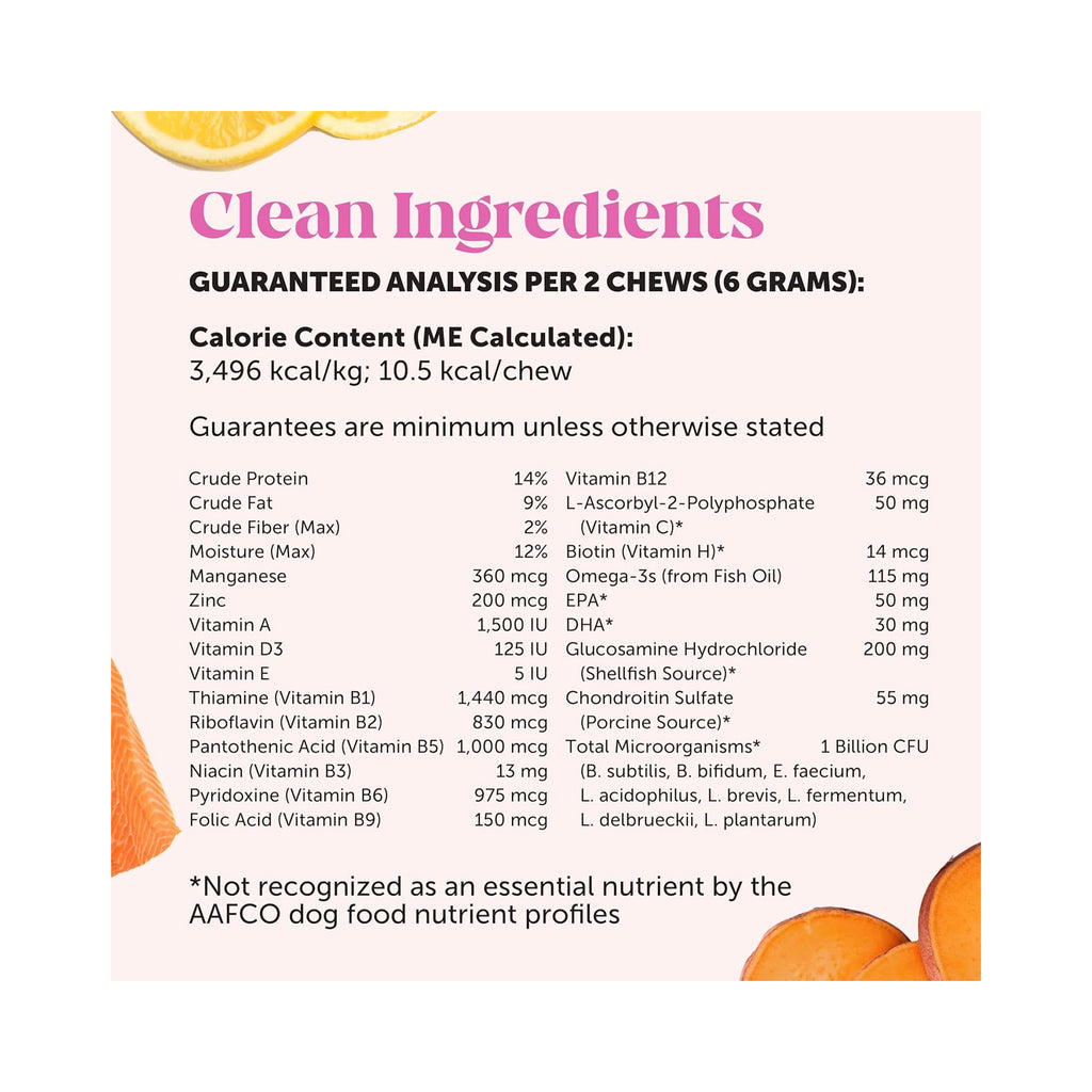 Daily Multivitamin Chews for Dogs — Everyday Wellness Support, 300g
