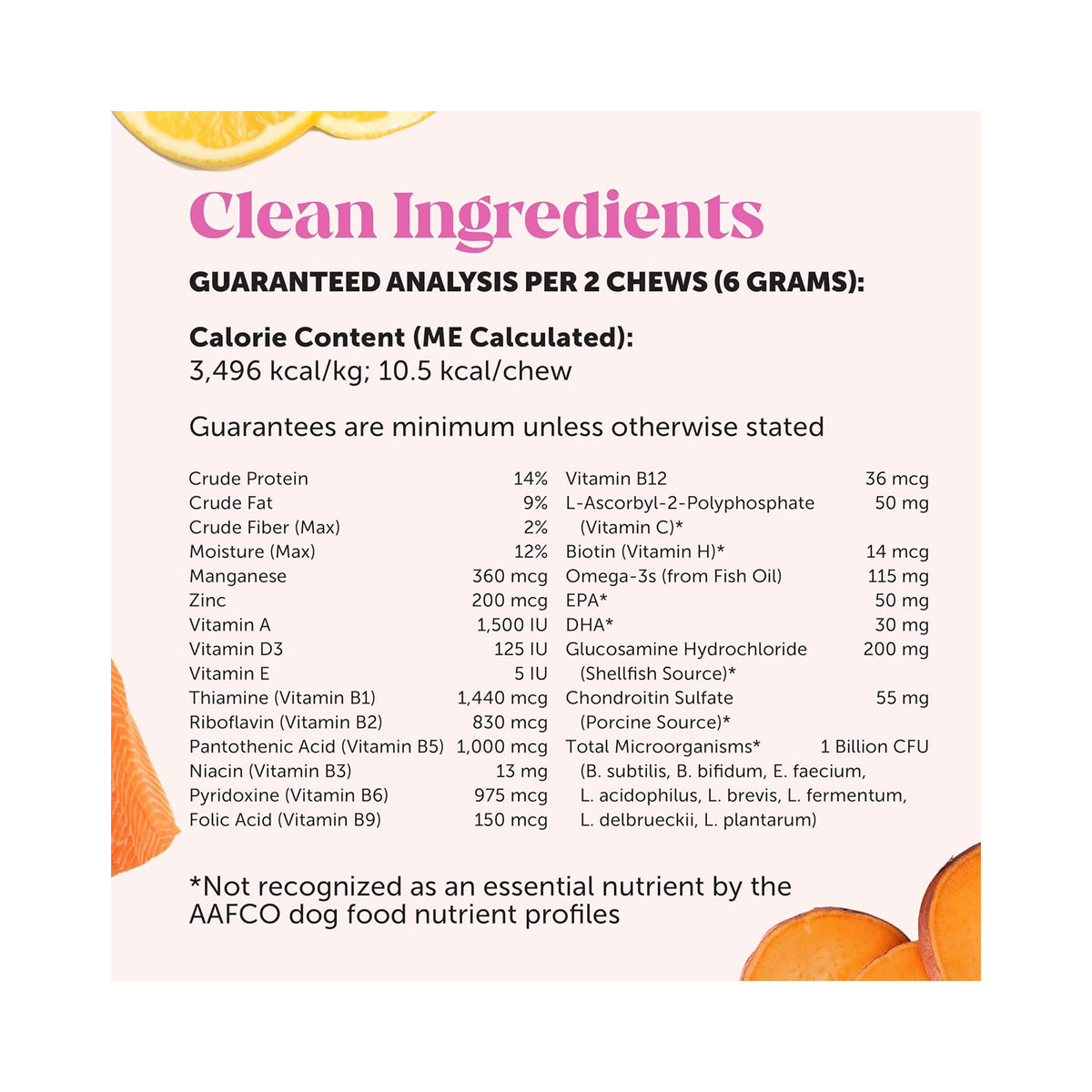 Daily Multivitamin Chews for Dogs — Everyday Wellness Support, 300g