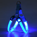 NightSafe LED Light-Up Dog Harness — High-Visibility Chest Harness for Evening Walks