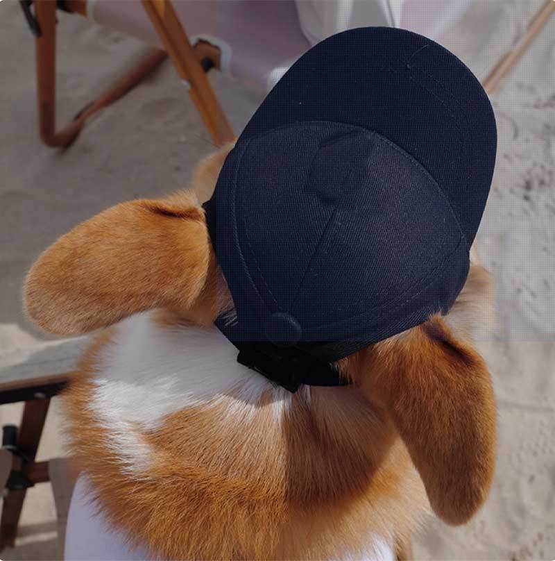 Dog Sun Cap with Ear Holes — Adjustable Cotton Baseball Cap for Shade on Walks