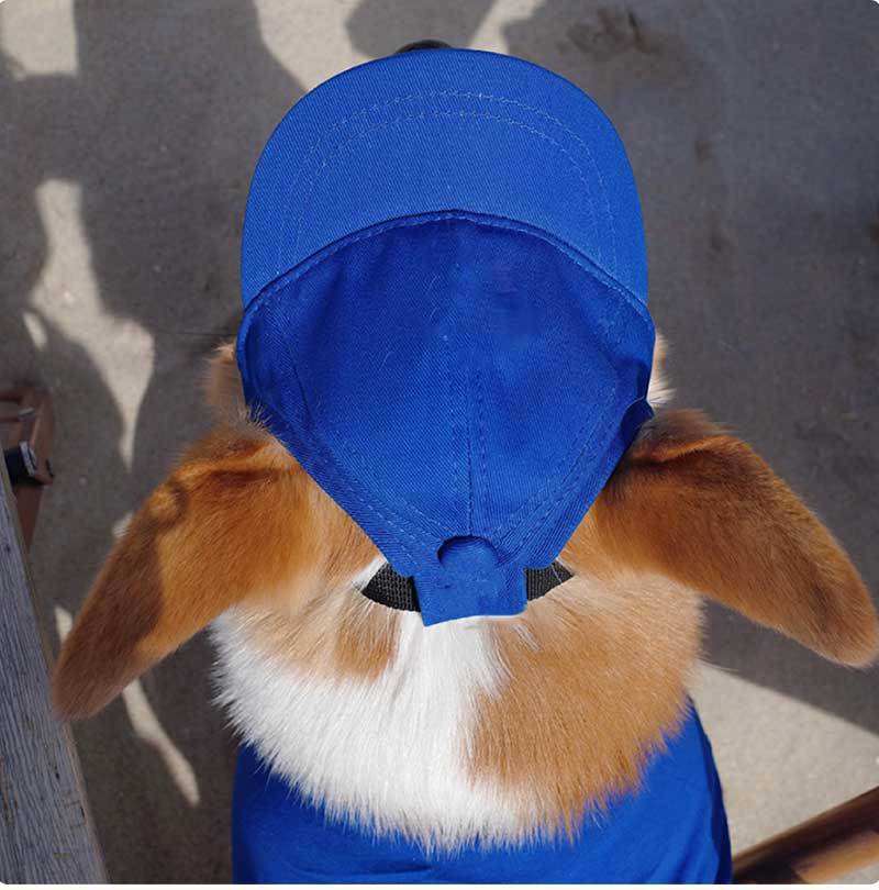Dog Sun Cap with Ear Holes — Adjustable Cotton Baseball Cap for Shade on Walks