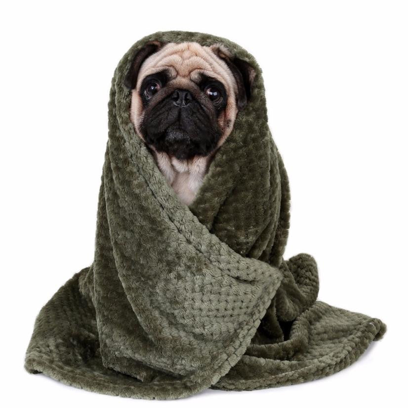 CozyNap Soft Fleece Blanket for Senior Dogs — Warm Comfort Throw for Beds, Sofas & Crates