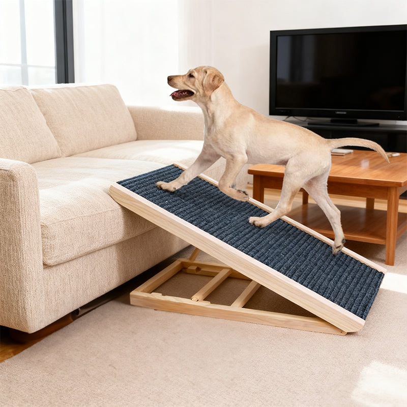 SafeStep Folding Dog Ramp for Senior Dogs — Height-Adjustable, Non-Slip Carpet for Cars & Beds